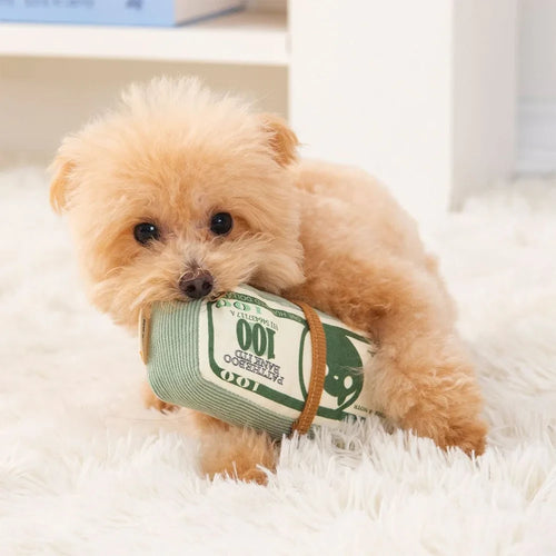 Cash Stack Squeaky Puppy Toy