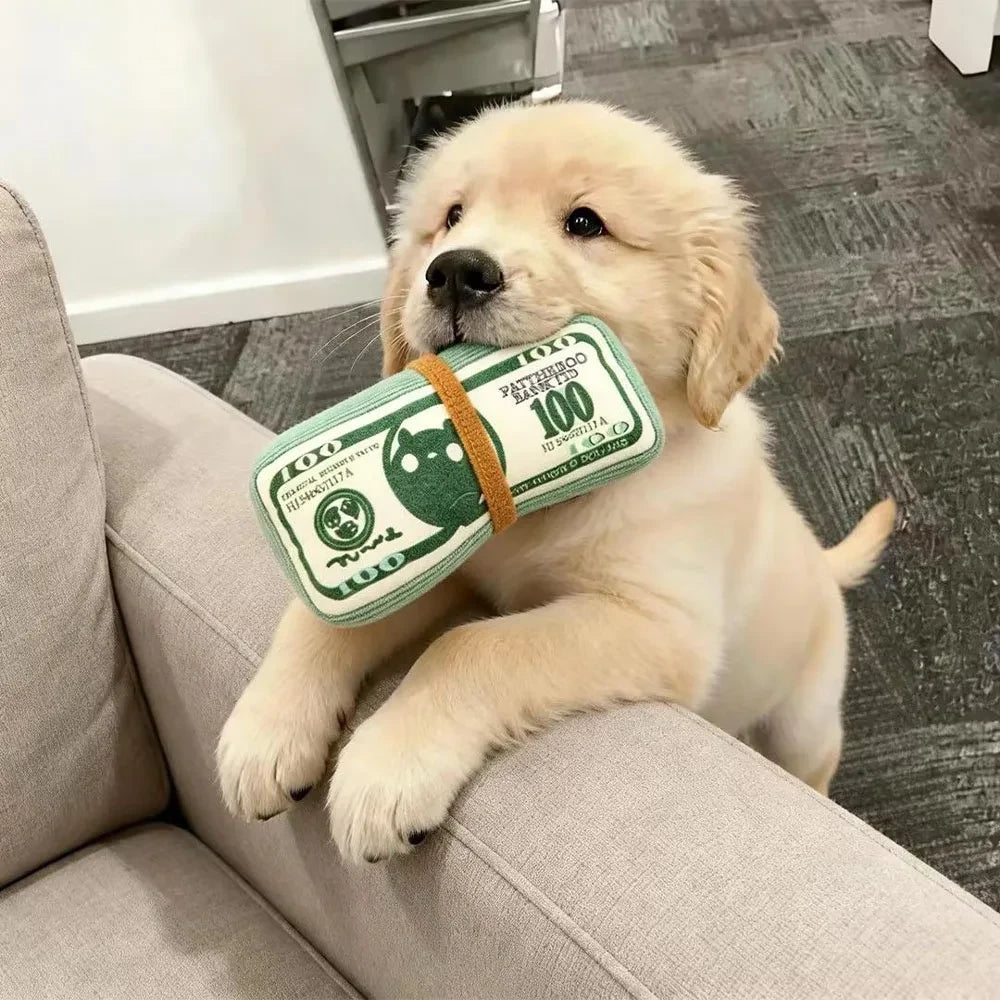 Cash Stack Squeaky Puppy Toy